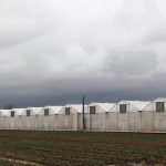 Agro Koni (1)