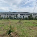 American farm - Bonum ltd (4)