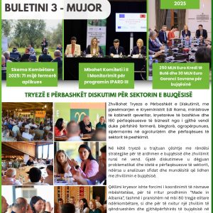 Buleti prill qershor 2025_page-0001