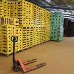 Elian Export (33)