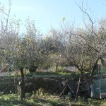 IMG_0025