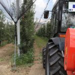 Kledis Spaho (32)