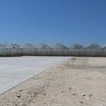 IMG_5972
