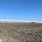 IMG_0197