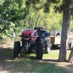 IMG_0041
