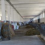 IMG_0175
