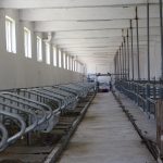 IMG_0176