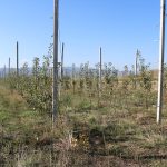 IMG_0276