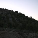 IMG_5989