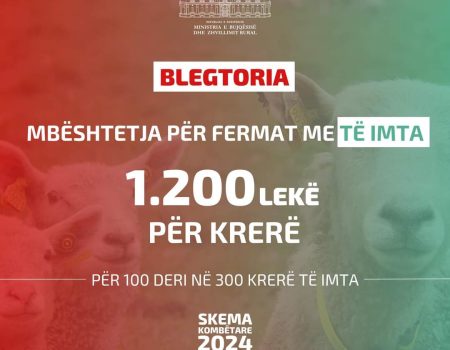 Fermat me të imta 1