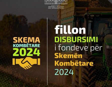 Foto, Skema