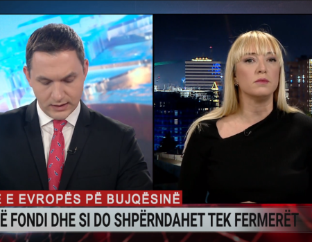 Frida Krifca CNN A2