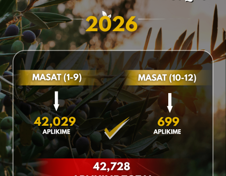 Infografik