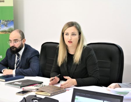 Pagesat Pjesore (6)